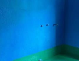 岭东卫生间测漏水多少钱